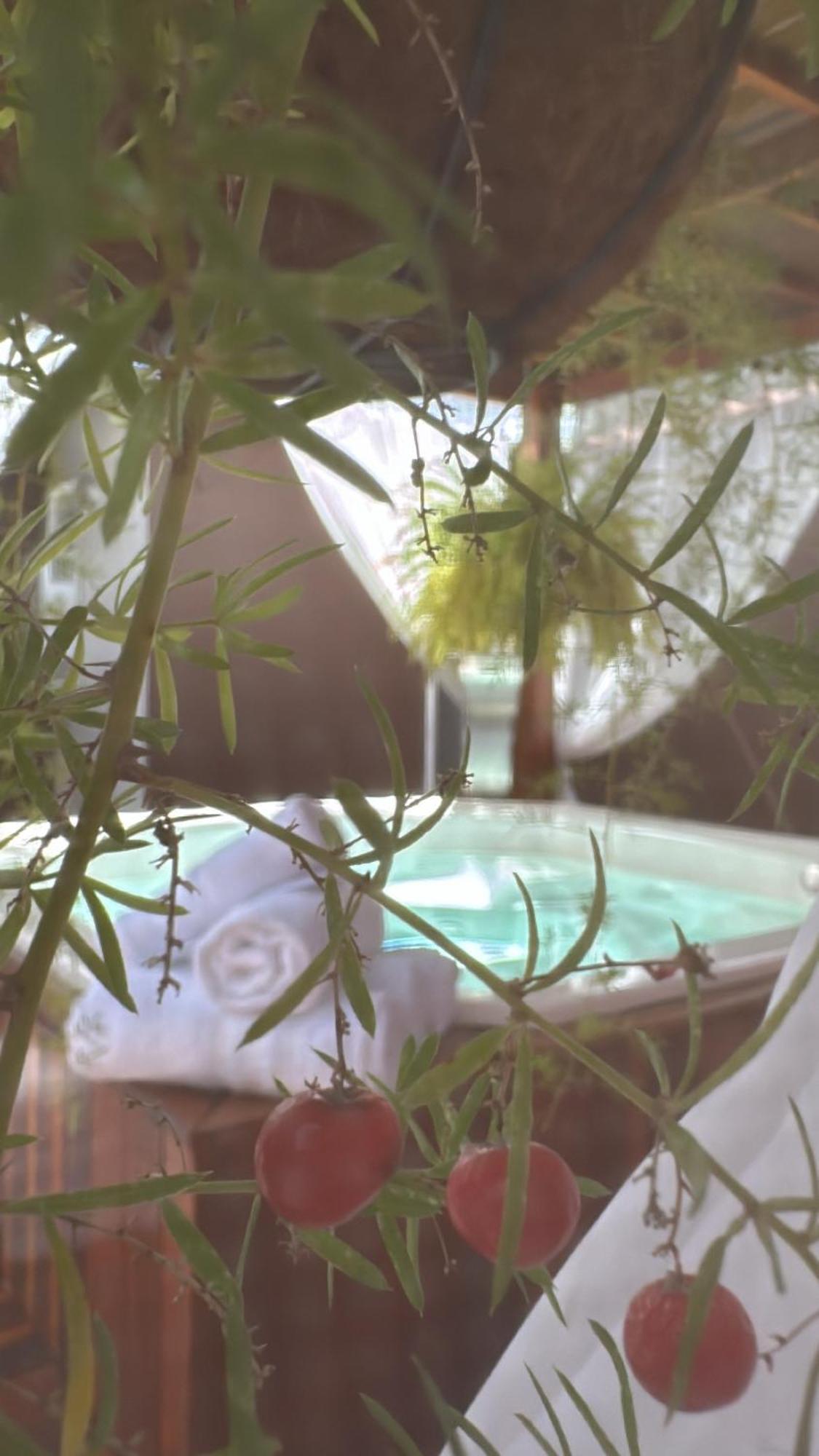 Cantinho Santiago Holiday home